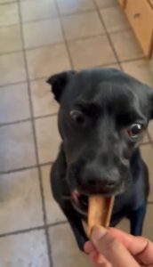 WhatsApp Image 2022-12-21 at 7.29.16 AM (1)