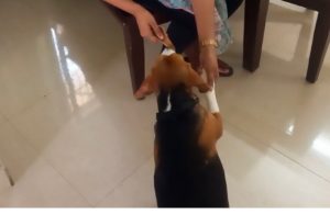 WhatsApp Image 2022-12-21 at 7.29.16 AM (2)