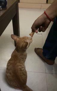 WhatsApp Image 2022-12-21 at 7.29.17 AM