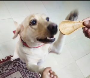 WhatsApp Image 2022-12-21 at 7.29.17 AM (2)