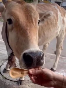 WhatsApp Image 2022-12-21 at 7.29.18 AM